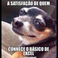 A SATISFAÇÃO DE QUEMCONHECE O BÁSICO DE EXCEL