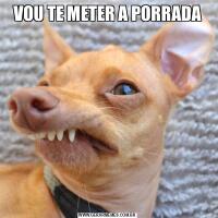 VOU TE METER A PORRADA