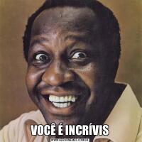 VOCÊ É INCRÍVIS