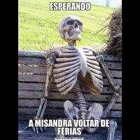  ESPERANDOA MISANDRA VOLTAR DE FÉRIAS