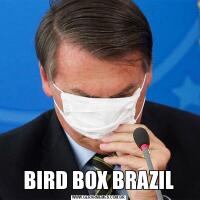 BIRD BOX BRAZIL