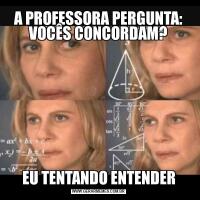 A PROFESSORA PERGUNTA: VOCÊS CONCORDAM?EU TENTANDO ENTENDER