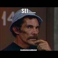 SEI.......