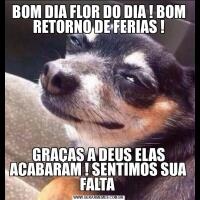 BOM DIA FLOR DO DIA ! BOM RETORNO DE FERIAS !GRAÇAS A DEUS ELAS ACABARAM ! SENTIMOS SUA FALTA 