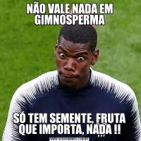 NÃO VALE NADA EM GIMNOSPERMASÓ TEM SEMENTE, FRUTA QUE IMPORTA, NADA !!