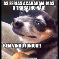 AS FÉRIAS ACABARAM, MAS O TRABALHO NÃO!BEM VINDO JÚNIOR!!                                                                                  