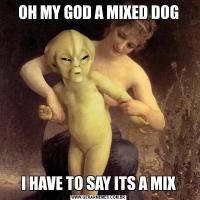 OH MY GOD A MIXED DOGI HAVE TO SAY ITS A MIX