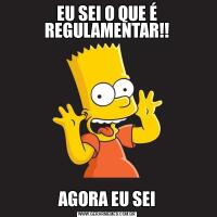 EU SEI O QUE É REGULAMENTAR!!AGORA EU SEI
