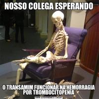NOSSO COLEGA ESPERANDOO TRANSAMIM FUNCIONAR NA HEMORRAGIA POR TROMBOCITOPENIA