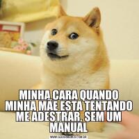 MINHA CARA QUANDO MINHA MÃE ESTA TENTANDO ME ADESTRAR, SEM UM MANUAL