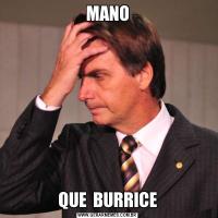 MANOQUE  BURRICE