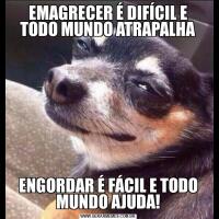 EMAGRECER É DIFÍCIL E TODO MUNDO ATRAPALHAENGORDAR É FÁCIL E TODO MUNDO AJUDA!