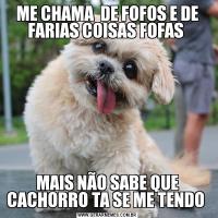 ME CHAMA  DE FOFOS E DE FARIAS COISAS FOFAS MAIS NÃO SABE QUE CACHORRO TA SE ME TENDO 