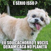 É SÉRIO ISSO ?EU SOU CACHORRO E VOCES DEIXAM CACA NO PLANETA