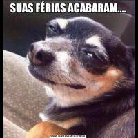 SUAS FÉRIAS ACABARAM....