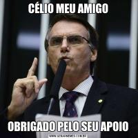 CÉLIO MEU AMIGOOBRIGADO PELO SEU APOIO