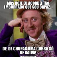 MAS HOJE EU ACORDEI TÃO EMBURRADO QUE SOU CAPAZ...DE, DE CHUPAR UMA COBRA SÓ DE RAIVA!