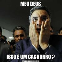 MEU DEUSISSO É UM CACHORRO ?