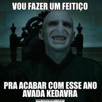 VOU FAZER UM FEITIÇOPRA ACABAR COM ESSE ANO AVADA KEDAVRA