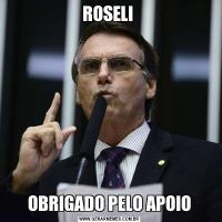 ROSELI OBRIGADO PELO APOIO