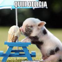 QUIII DELICIA