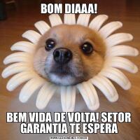 BOM DIAAA!BEM VIDA DE VOLTA! SETOR GARANTIA TE ESPERA