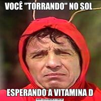 VOCÊ "TORRANDO" NO SOL ESPERANDO A VITAMINA D