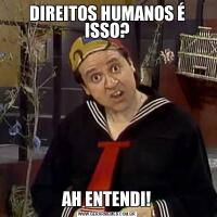 DIREITOS HUMANOS É ISSO?AH ENTENDI!