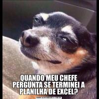 QUANDO MEU CHEFE PERGUNTA SE TERMINEI A PLANILHA DE EXCEL?