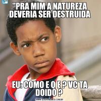 'PRA MIM A NATUREZA DEVERIA SER DESTRUIDAEU: COMO E Q E ? VC TA DOIDO ? 