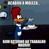 ACABOU A MOLEZA...BOM RETORNO AO TRABALHO MAURO!