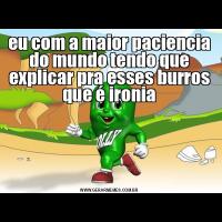 eu com a maior paciencia do mundo tendo que explicar pra esses burros que é ironia