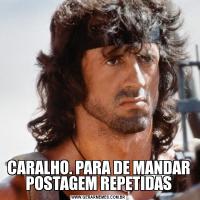 CARALHO. PARA DE MANDAR POSTAGEM REPETIDAS