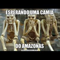 ESPERANDO UMA CAMIADO AMAZONAS
