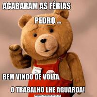ACABARAM AS FÉRIAS                                                       
PEDRO ...BEM VINDO DE VOLTA.                                                              
O TRABALHO LHE AGUARDA!