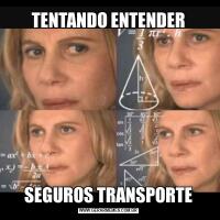 TENTANDO ENTENDERSEGUROS TRANSPORTE