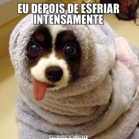 EU DEPOIS DE ESFRIAR INTENSAMENTE