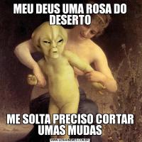 MEU DEUS UMA ROSA DO DESERTOME SOLTA PRECISO CORTAR UMAS MUDAS