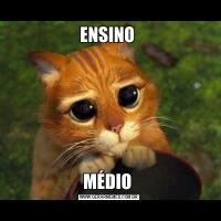 ENSINO MÉDIO 