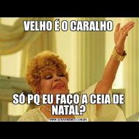 VELHO É O CARALHOSÓ PQ EU FAÇO A CEIA DE NATAL?