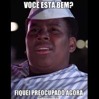 VOCÊ ESTÁ BEM?FIQUEI PREOCUPADO AGORA