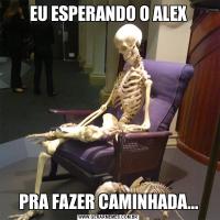 EU ESPERANDO O ALEXPRA FAZER CAMINHADA...