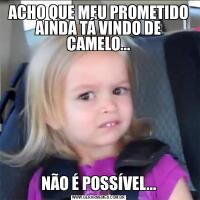 ACHO QUE MEU PROMETIDO AINDA TÁ VINDO DE CAMELO...NÃO É POSSÍVEL...