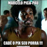 MARCELO PICA-PAUCADÊ O PIX SEU PORRA !!!