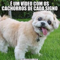 É UM VÍDEO COM OS CACHORROS DE CADA SIGNO 