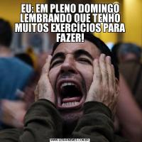 EU: EM PLENO DOMINGO LEMBRANDO QUE TENHO MUITOS EXERCÍCIOS PARA FAZER!