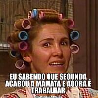 EU SABENDO QUE SEGUNDA ACABOU A MAMATA E AGORA É TRABALHAR