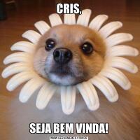 CRIS,SEJA BEM VINDA!