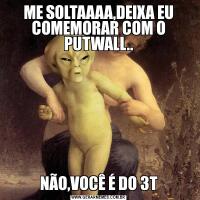 ME SOLTAAAA,DEIXA EU COMEMORAR COM O PUTWALL..NÃO,VOCÊ É DO 3T