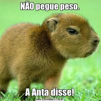 NÃO pegue peso.A Anta disse!